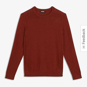 Express Merino Wool Crew Neck Sweater